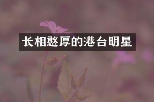 长相憨厚的港台明星