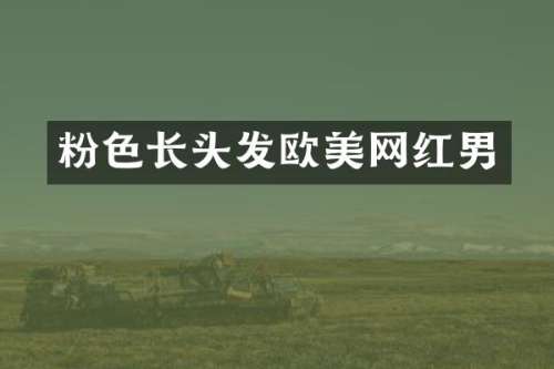 粉色长头发欧美网红男