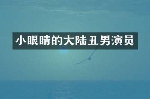 小眼睛的大陆丑男演员