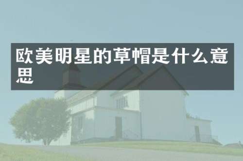 欧美明星的草帽是什么意思