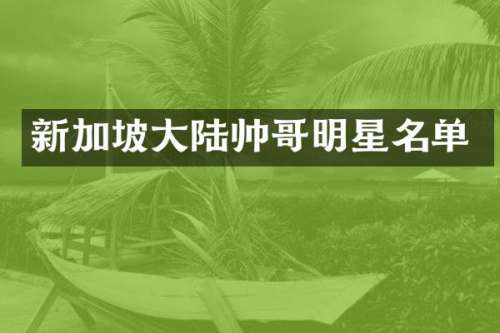 新加坡大陆帅哥明星名单
