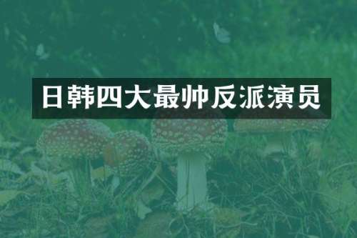 日韩四大最帅反派演员