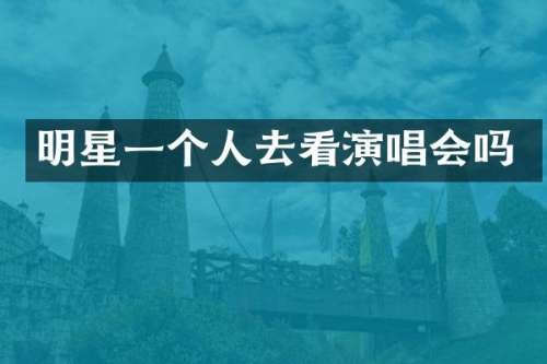 明星一个人去看演唱会吗