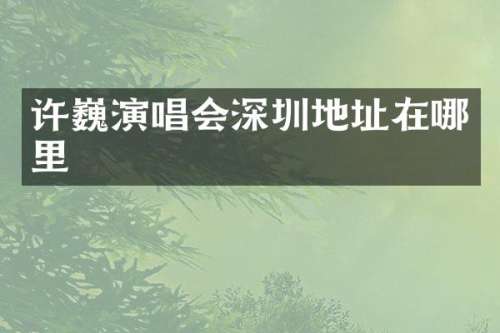 许巍演唱会深圳地址在哪里