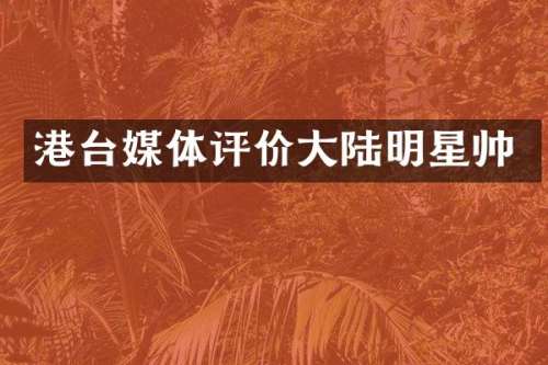 港台媒体评价大陆明星帅