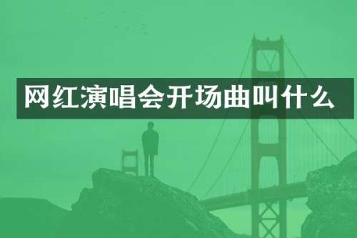 网红演唱会开场曲叫什么