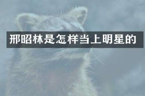 邢昭林是怎样当上明星的