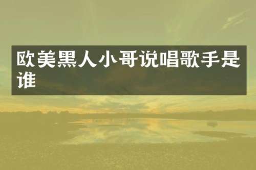 欧美黑人小哥说唱歌手是谁