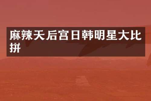 麻辣天后宫日韩明星大比拼