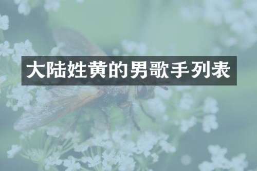 大陆姓黄的男歌手列表