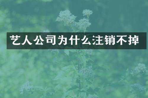 艺人公司为什么注销不掉