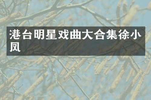 港台明星戏曲大徐小凤