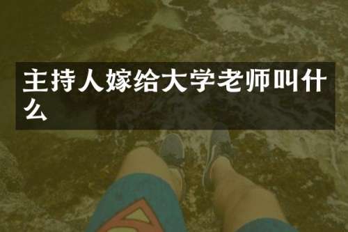 主持人嫁给大学老师叫什么