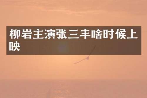 柳岩主演张三丰啥时候上映