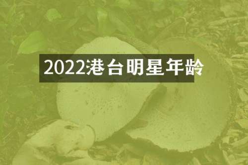 2022港台明星年龄