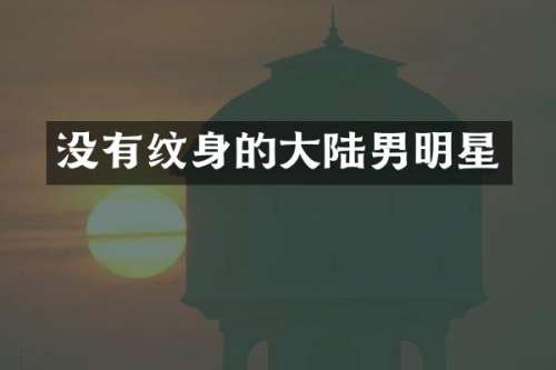 没有纹身的大陆男明星