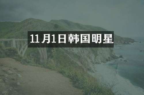 11月1日韩国明星