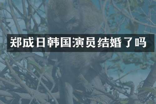 郑成日韩国演员结婚了吗