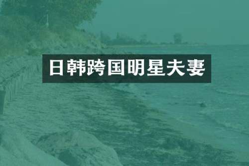 日韩跨国明星夫妻