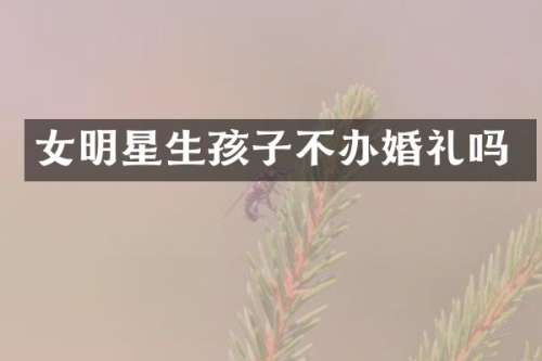 女明星生孩子不办婚礼吗