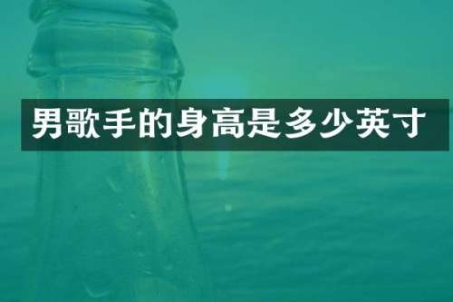 男歌手的身高是多少英寸