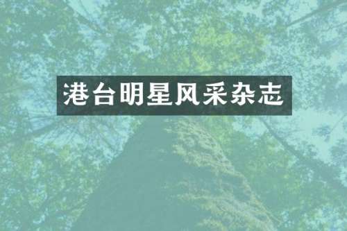 港台明星风采杂志