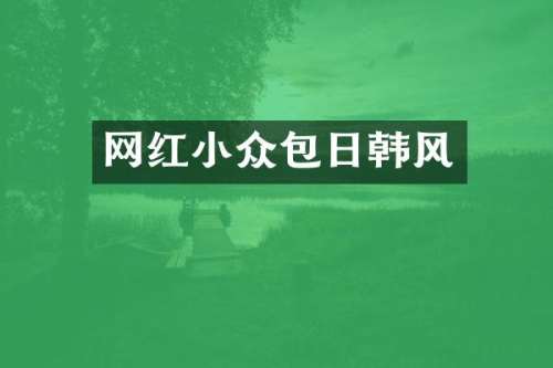 网红小众包日韩风