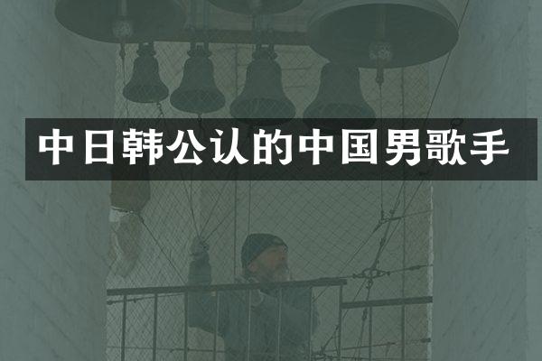 中日韩公认的中国男歌手