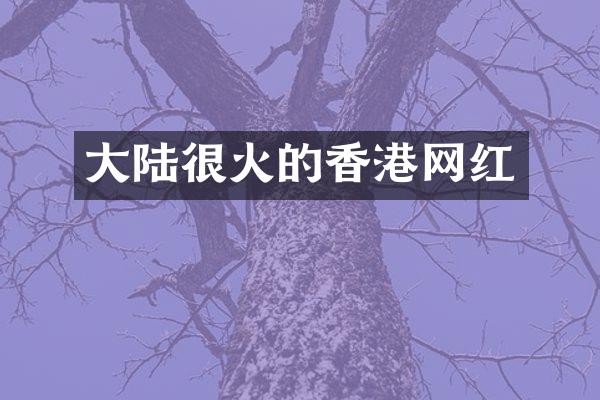 大陆很火的香港网红