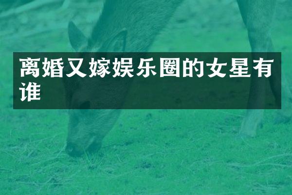 离婚又嫁娱乐圈的女星有谁
