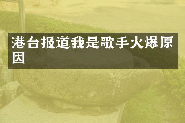 港台报道我是歌手火爆原因