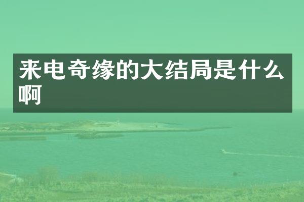 来电奇缘的大结局是什么啊