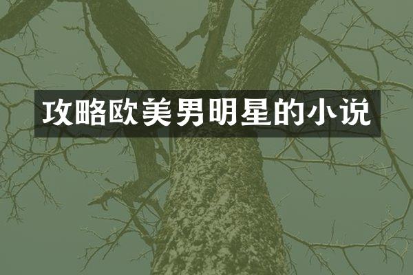 攻略欧美男明星的小说