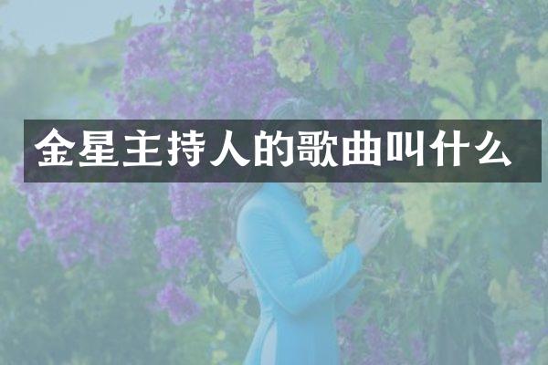 金星主持人的歌曲叫什么