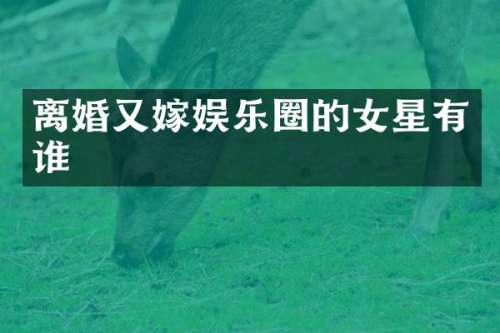 离婚又嫁娱乐圈的女星有谁