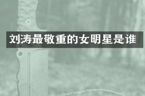 刘涛最敬重的女明星是谁