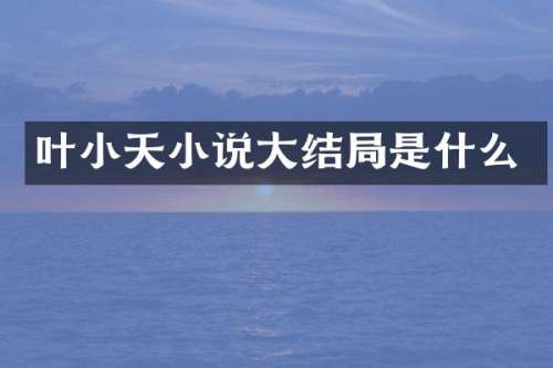 叶小天小说大结局是什么