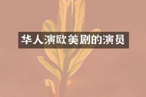 华人演欧美剧的演员