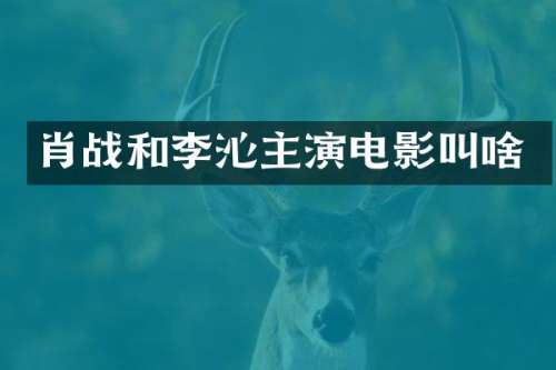 肖战和李沁主演电影叫啥