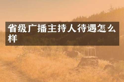 省级广播主持人待遇怎么样