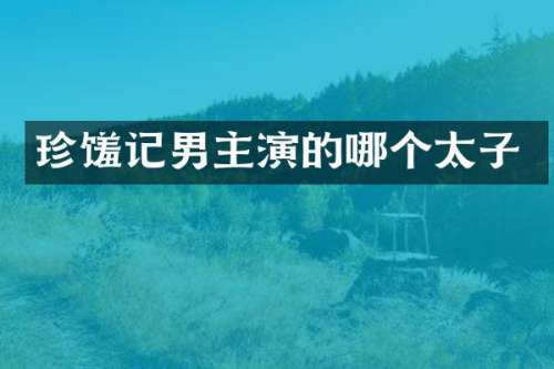 珍馐记男主演的哪个太子