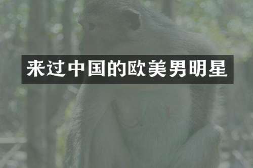 来过中国的欧美男明星
