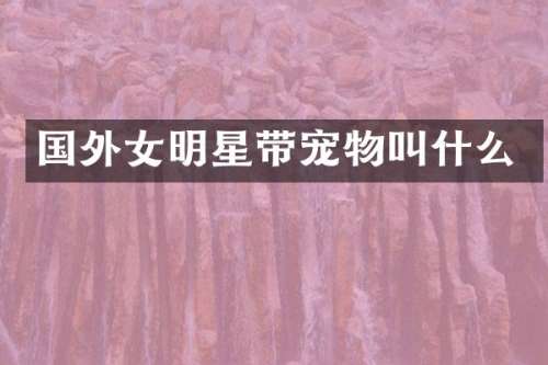 国外女明星带宠物叫什么