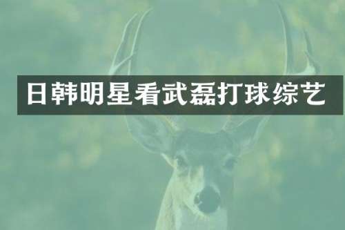 日韩明星看武磊打球综艺