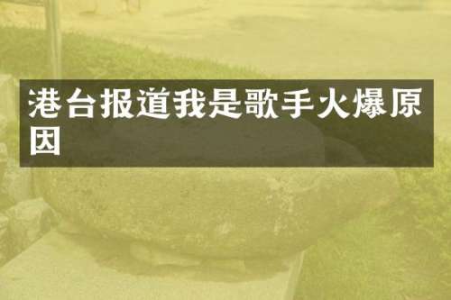 港台报道我是歌手火爆原因