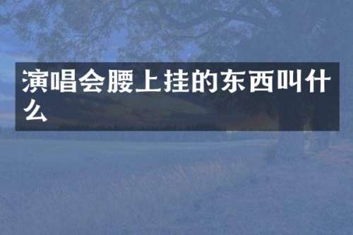 演唱会腰上挂的东西叫什么