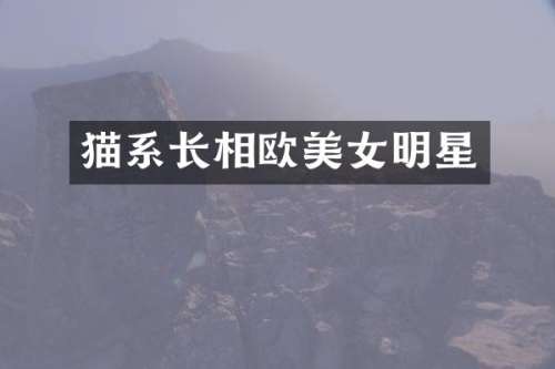 猫系长相欧明星