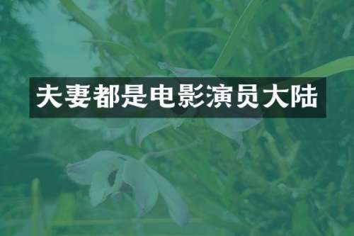 夫妻都是电影演员大陆
