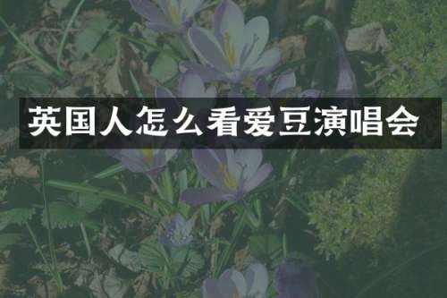 英国人怎么看爱豆演唱会