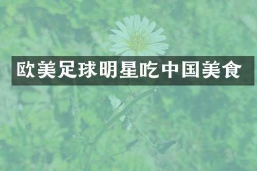 欧美足球明星吃中国美食